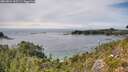 ./images/calvert/foggy-cove/20260824/foggy-cove20260824_143502M.jpg
