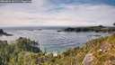 ./images/calvert/foggy-cove/20260824/foggy-cove20260824_162502M.jpg