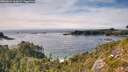 ./images/calvert/foggy-cove/20260824/foggy-cove20260824_163001M.jpg
