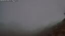 ./images/calvert/foggy-cove/20260825/foggy-cove20260825_060501M.jpg