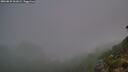 ./images/calvert/foggy-cove/20260825/foggy-cove20260825_061001M.jpg