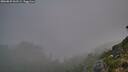 ./images/calvert/foggy-cove/20260825/foggy-cove20260825_061501M.jpg
