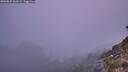 ./images/calvert/foggy-cove/20260825/foggy-cove20260825_062501M.jpg