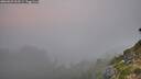 ./images/calvert/foggy-cove/20260825/foggy-cove20260825_063501M.jpg