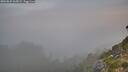 ./images/calvert/foggy-cove/20260825/foggy-cove20260825_065001M.jpg