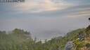 ./images/calvert/foggy-cove/20260825/foggy-cove20260825_070501M.jpg