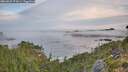 ./images/calvert/foggy-cove/20260825/foggy-cove20260825_072001M.jpg
