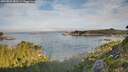 ./images/calvert/foggy-cove/20260825/foggy-cove20260825_083501M.jpg