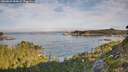 ./images/calvert/foggy-cove/20260825/foggy-cove20260825_084001M.jpg
