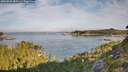 ./images/calvert/foggy-cove/20260825/foggy-cove20260825_084502M.jpg