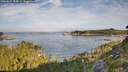 ./images/calvert/foggy-cove/20260825/foggy-cove20260825_085001M.jpg