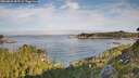 ./images/calvert/foggy-cove/20260825/foggy-cove20260825_085501M.jpg