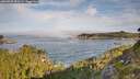 ./images/calvert/foggy-cove/20260825/foggy-cove20260825_090502M.jpg