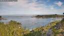 ./images/calvert/foggy-cove/20260825/foggy-cove20260825_092501M.jpg