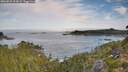 ./images/calvert/foggy-cove/20260825/foggy-cove20260825_093001M.jpg