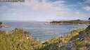 ./images/calvert/foggy-cove/20260825/foggy-cove20260825_093501M.jpg