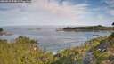 ./images/calvert/foggy-cove/20260825/foggy-cove20260825_094002M.jpg