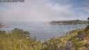 ./images/calvert/foggy-cove/20260825/foggy-cove20260825_094501M.jpg