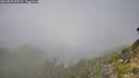 ./images/calvert/foggy-cove/20260825/foggy-cove20260825_095501M.jpg