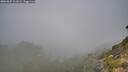 ./images/calvert/foggy-cove/20260825/foggy-cove20260825_101001M.jpg