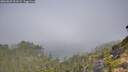 ./images/calvert/foggy-cove/20260825/foggy-cove20260825_101501M.jpg