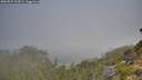 ./images/calvert/foggy-cove/20260825/foggy-cove20260825_103001M.jpg
