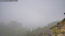 ./images/calvert/foggy-cove/20260825/foggy-cove20260825_103501M.jpg