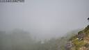 ./images/calvert/foggy-cove/20260825/foggy-cove20260825_104001M.jpg
