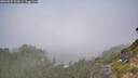 ./images/calvert/foggy-cove/20260825/foggy-cove20260825_104501M.jpg