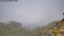 ./images/calvert/foggy-cove/20260825/foggy-cove20260825_105001M.jpg