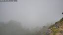 ./images/calvert/foggy-cove/20260825/foggy-cove20260825_105501M.jpg