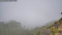 ./images/calvert/foggy-cove/20260825/foggy-cove20260825_110001M.jpg