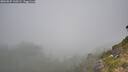 ./images/calvert/foggy-cove/20260825/foggy-cove20260825_110501M.jpg