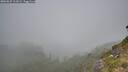 ./images/calvert/foggy-cove/20260825/foggy-cove20260825_111002M.jpg