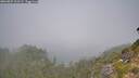 ./images/calvert/foggy-cove/20260825/foggy-cove20260825_111501M.jpg