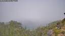 ./images/calvert/foggy-cove/20260825/foggy-cove20260825_112001M.jpg