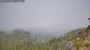 ./images/calvert/foggy-cove/20260825/foggy-cove20260825_112501M.jpg