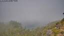 ./images/calvert/foggy-cove/20260825/foggy-cove20260825_113001M.jpg