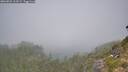 ./images/calvert/foggy-cove/20260825/foggy-cove20260825_113502M.jpg