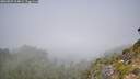./images/calvert/foggy-cove/20260825/foggy-cove20260825_114001M.jpg