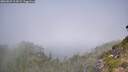 ./images/calvert/foggy-cove/20260825/foggy-cove20260825_114501M.jpg