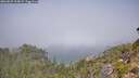 ./images/calvert/foggy-cove/20260825/foggy-cove20260825_115002M.jpg