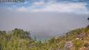 ./images/calvert/foggy-cove/20260825/foggy-cove20260825_125001M.jpg