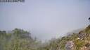 ./images/calvert/foggy-cove/20260825/foggy-cove20260825_130001M.jpg