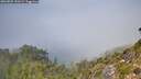 ./images/calvert/foggy-cove/20260825/foggy-cove20260825_130501M.jpg