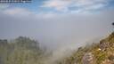 ./images/calvert/foggy-cove/20260825/foggy-cove20260825_131002M.jpg