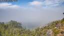 ./images/calvert/foggy-cove/20260825/foggy-cove20260825_131501M.jpg