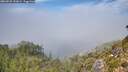 ./images/calvert/foggy-cove/20260825/foggy-cove20260825_132001M.jpg