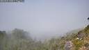 ./images/calvert/foggy-cove/20260825/foggy-cove20260825_133001M.jpg