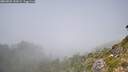 ./images/calvert/foggy-cove/20260825/foggy-cove20260825_133501M.jpg